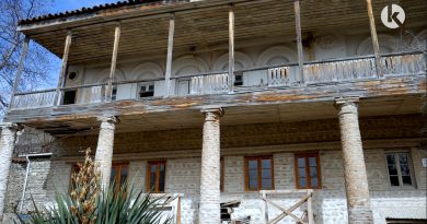 თელავის ისტორიული სასახლის შენობა დახმარებას საჭიროებს