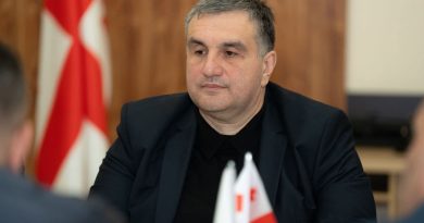 პლატონ კალმახელიძისა და მისი ოჯახის წევრების დეკლარირებული ქონება