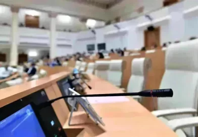 მინისტრების, სახელმწიფო რწმუნებულებისა და მერების მოადგილეებს სახელფასო დანამატისა და ფულადი ჯილდოს მიღების შესაძლებლობა ექნებათ