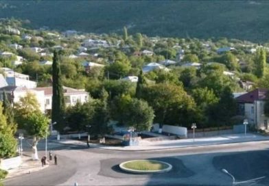 საგარეჯოში თავისუფალი ინდუსტრიული ზონის შექმნა გადავადდა