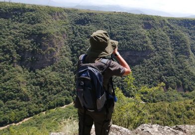 რეინჯერების ანაზღაურება 40%-ით გაიზარდა