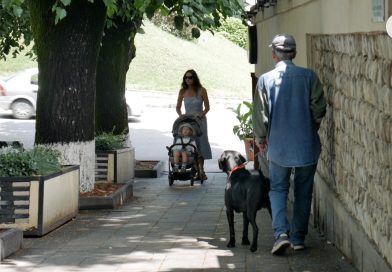 ძაღლის რომელი ჯიშების მოშენებაზე დააწესა მთავრობამ 3-წლიანი მორატორიუმი? – ვადები და წესები