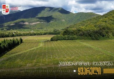 ადგილწარმოშობის დასახელება „ყვარელი“ „საქპატენტში“ არის რეგისტრირებული