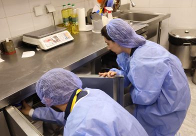 ყველაზე ხშირი დარღვევები სურსათის უვნებლობის მიმართულებით და მათი პრევენცია – სეს ბიზნესოპერატორებს ურჩევს