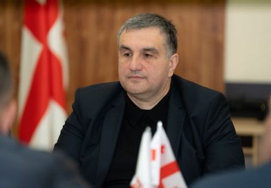 პლატონ კალმახელიძისა და მისი ოჯახის წევრების დეკლარირებული ქონება