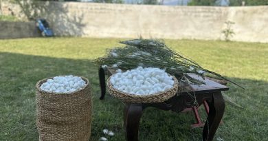 ,,საქართველოს მეაბრეშუმეთა ასოციაცია” იწყებს მზადებას აბრეშუმის პარკის წარმოების სეზონისთვის