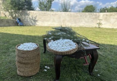 ,,საქართველოს მეაბრეშუმეთა ასოციაცია” იწყებს მზადებას აბრეშუმის პარკის წარმოების სეზონისთვის
