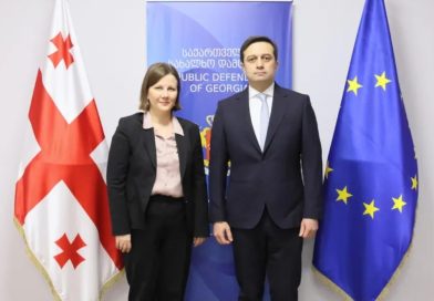 სახალხო დამცველი ეუთოს „მოსკოვის მექანიზმის“ ფარგლებში დანიშნულ მომხსენებელს შეხვდა