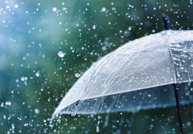 სინოპტიკოსები-11 თებერვალს მოსალოდნელია ნალექი, უმეტესად თოვლის სახით