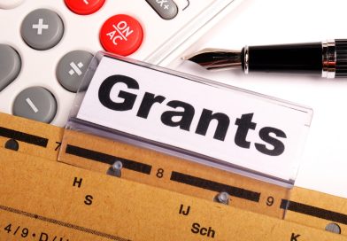 პარლამენტმა მეორე მოსმენით მხარი დაუჭირა გრანტის მიღებასთან, პოლიტიკურ საქმიანობასთან და აქტივობასთან დაკავშირებულ პაკეტს