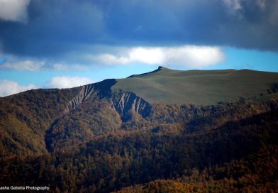 „გვაქვს ისეთი მეწყრულად აქტიური ზონები, სადაც მოსახლეობა ისე ცხოვრობს, რომ წარმოდგენა არ აქვს ამის შესახებ“ – ნინო ჩხობაძე