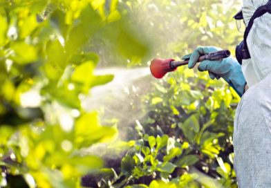 რა ოდენობის სასუქი შემოგვაქვს ქვეყანაში, რომლის ფასების შესწავლასაც აპირებს მთავრობა