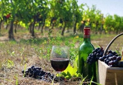 მთავრობამ 8 მაისი ღვინის ეროვნულ დღედ გამოაცხადა