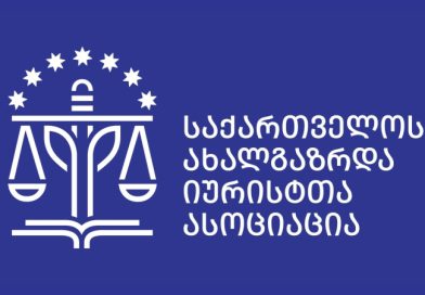 შემაშფოთებელია სადამსჯელო რაზმების შექმნა თავისუფალი აზრისა და გამოხატვის ჩასახშობად