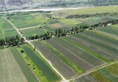 საქართველოს მიწის რესურსების შესახებ მონაცემები საჯაროდ ხელმისაწვდომი გახდა
