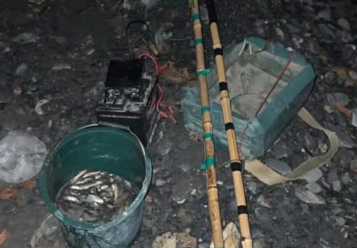 გარემოსდაცვითი ზედამხედველობის დეპარტამენტმა კახეთში ელექტროიარაღით უკანონო თევზჭერის ფაქტი გამოავლინა