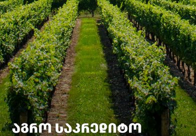 ტერაბანკის საკრედიტო ბარათი აგრო ბიზნესისთვის