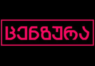 რა ელის გამოხატვის თავისუფლებას?